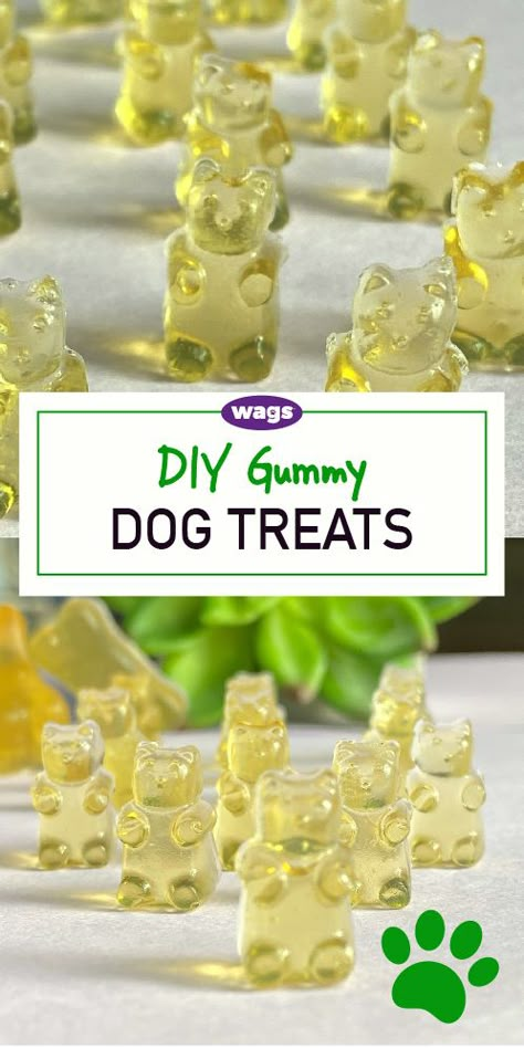 Iced Dog Treats Homemade, Peanut Butter And Jelly Dog Treats, Green Dog Treats, Fun Dog Treats Recipes, Baked Treats For Dogs, Creative Dog Treats, Pet Bakery Business, Dog Gelatin Treats, Gummies For Dogs