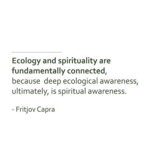 Spiritual Ecology, Ecology Quotes, Ecology Projects, Deep Ecology, Spirituality Quotes, The Mind's Eye, Stream Of Consciousness, Spiritual Awareness, Spiritual Connection