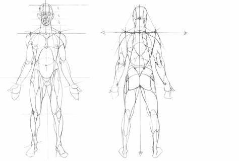 28+ reilly method figure drawing - NicolleKali Frank Reilly, Reilly Method, Drawing Method, Storyboard Illustration, Human Anatomy Art, Basic Drawing, Figure Study, Human Poses, Figure Drawing Reference