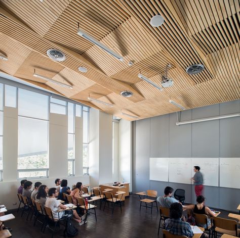 Gallery of Universidad de Chile - Juan Gomez Millas Campus Classroom Building / Marsino Arquitectura - 4 Classroom Architecture, Classroom Ceiling, Dia Beacon, Biophilic Architecture, Choir Room, Architecture Ceiling, Auditorium Design, Classroom Interior, Multipurpose Hall