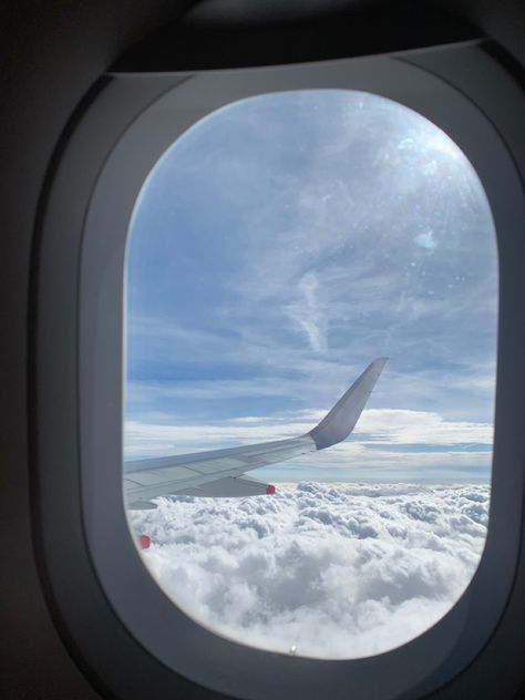 Clouds Airplane View, Vison Bored, Birthday Cake Roses, Plane View, Cake Roses, Board Pictures, Aesthetic Collection, Above The Clouds, A Plane