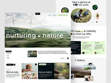 EcoHarvest - Plant-Based Food Landing Page by Awsmd on Dribbble Nutrition Website Design, Food Landing Page, Web Design Gallery, Web Design Ux Ui, Adaptive Design, Nature Environment, Best Website Design, Stadium Design, Creative Website Design