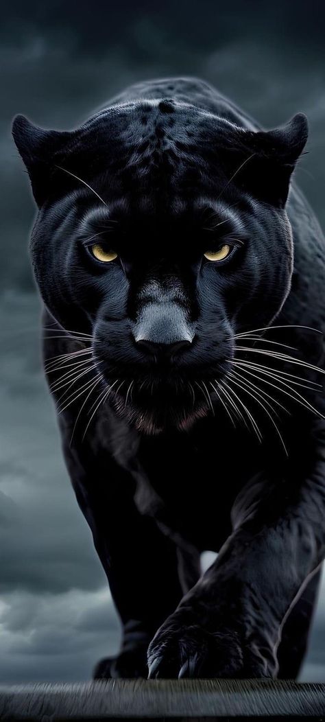 Black Puma Animal, Black Jaguar Wallpaper, Pantera Wallpaper, Black Pantera, Black Panther Wallpaper, Black Panther Animal, Dark Panther, Puma Animal, Black Jaguar Animal