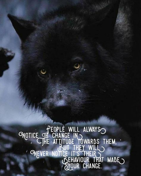 Soul Reading | Gold of Wolves’s Instagram photo: “People will always notice the change in the attitude towards them, but they will never notice it's their behaviour that made your change.…” Honest Quotes, Change In, The Change, Wolves, You Changed, Make It Yourself, Reading, Instagram Photo, Quotes