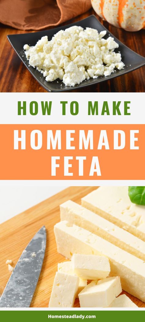 feta cheese in a wooden spoon Make Feta Cheese, Homemade Feta Cheese, Homemade Jaffa Cakes, Homemade Feta, Raw Cheese, Feta Cheese Recipes, Plant Based Cheese, Jaffa Cake, Lentil Soup Recipes