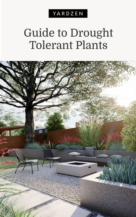 We hear the term “drought tolerant” all the time when discussing water conservation and planting. What exactly does it mean? Why is it important? Modern Drought Resistant Landscaping, Texas Hill Country Backyard Landscaping, Drought Friendly Backyard, Modern Drought Tolerant Landscape, Water Tolerant Landscaping, Drought Resistant Backyard, California Drought Tolerant Landscape, Drought Tolerant Backyard, Drought Tolerant Landscape Backyard