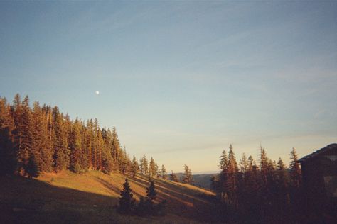 Pnw Autumn, Film Landscape, Nature On Film, Pnw Summer, Pnw Aesthetic, Wild Nature, Green Landscape, Nature Travel, Pacific Northwest