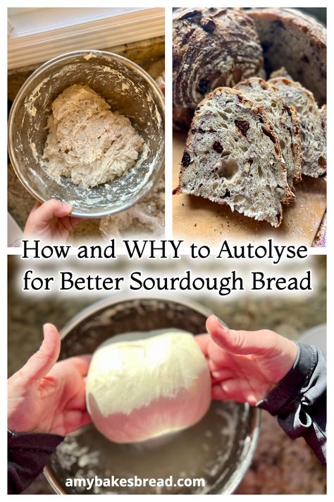 Sourdough Bread Recipe With Inclusions, Sourdough Bread Inclusions, Sourdough Beginner, Sourdough Explained, Culinary Exploration Sourdough, Sourdough Artesian Bread, Sourdough Artisan Bread, Autolyse Sourdough, Best Sourdough Starter Recipe