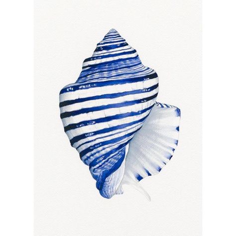 Blue And White Art, Coral Art, White Art Print, Painted Shells, Hamptons House, Sea Art, Conch Shell, Watercolor Inspiration, Shell Art