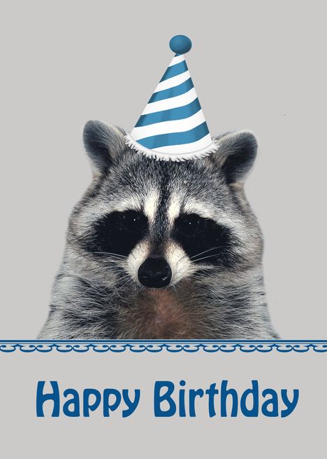 Happy Birthday Raccoon, Birthday Raccoon, Raccoon Wearing Headphones, Happy Raccoon, Racoon Funny, Raccoon Birthday, Happy Birthday Raccoon Meme, Funny Sunglasses, Raccoon Art