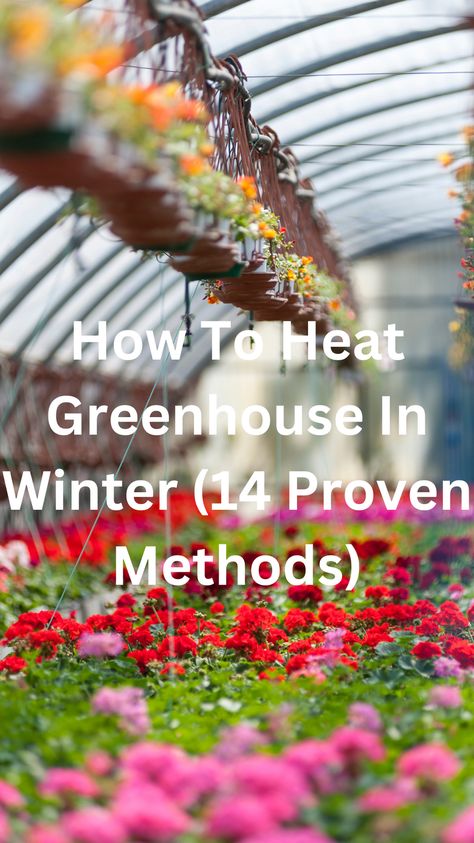 Discover 14 proven methods to heat your greenhouse in winter, ensuring your plants thrive despite the cold. From utilizing solar power to efficient insulation techniques, learn how to create a warm, sustainable environment. Embrace the winter season with confidence, knowing your greenhouse is protected. Find out how to heat your greenhouse in winter and keep your gardening dreams alive all year round with these expert tips and tricks. Heated Greenhouse Winter, Greenhouse Landscape Ideas, How To Prep Garden For Winter, How To Anchor A Greenhouse, Winter Greenhouse Diy, Insulating Greenhouse For Winter, How To Keep A Greenhouse Warm In Winter, Greenhouse Insulation Ideas, Heat Greenhouse In Winter