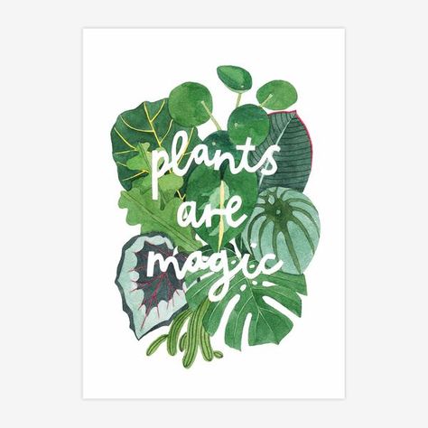 Philodendron Scandens, Plants Quotes, Tropical Leaf Print, Room With Plants, Cactus Y Suculentas, A4 Poster, Plant Illustration, Plant Print, Magic Art