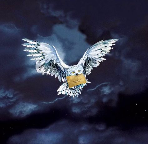 Hedwig the Owl. Harry Potter fandom. White owl. Snowy owl. Messenger. Hedwig Watercolor Painting, Harry Potter Artwork Paintings, Hedwig Painting, Hedwig Harry Potter Owl, Hedwig Art, Hedwig Flying, Rosè Aesthetic, Hedwig Tattoo, Owl Mural