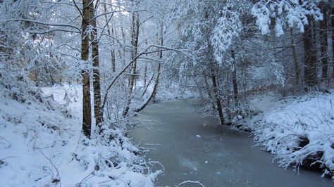 Frozen river Frozen Pond Aesthetic, Frozen River Aesthetic, Ice Skating On Frozen Lake Aesthetic, Winter Board, Frozen River, Snowy River, River Pictures, Fear Of The Dark, Sherwood Forest