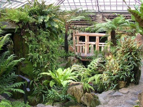 Fernery Ideas, Morris Arboretum, Small Tropical Gardens, Ferns Garden, Secret Gardens, Garden Landscape Design, Perfect Garden, Tropical Garden, Garden Arch