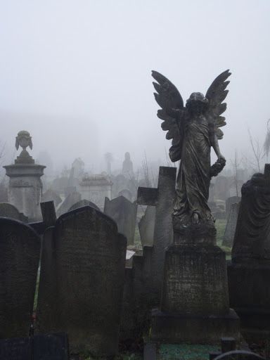 Lola Core, Madison Core, Cemetery Angels, Angel Statue, Cemetery Art, 다크 판타지, Angel Statues, Terry Pratchett, Gothic Aesthetic