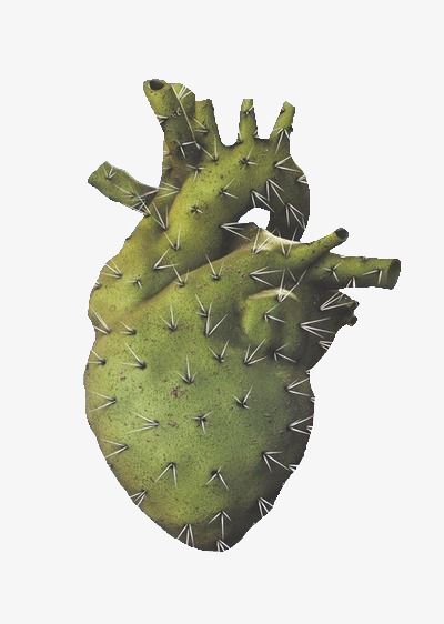 Ragnor Fell, Art Bizarre, Cactus Photography, Anatomy Art, Heart Art, Green Aesthetic, Art Plastique, Toledo, A Heart