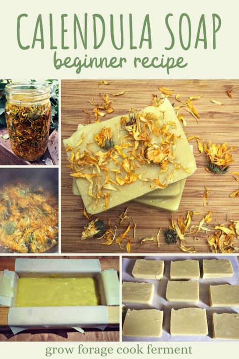 Diy Soap Bars For Beginners, Make Soap For Beginners, Soap Making For Beginners, Calendula Soap, Natural Homemade Soap, Shampoo Bar Recipe, How To Make Soap, Diy Soap Bars, Diy Soap Recipe