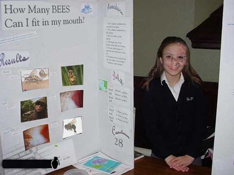 How Many Bees Funny Science Fair Projects Science Fair Posters Fake Science Fair Projects Worst Tattoos Hilarious Strange Classroom projects... Science Fair Poster, Animals Doing Funny Things, Bad Humor, Science Projects For Kids, Kids Science, Funny Science, American School, Fair Projects, Classroom Projects