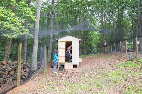 Backyard Chickens and Ducks Run – Nye Noona Aviary Netting Chicken Run, Netting Over Chicken Run, Beautiful Chicken Run, Poultry Netting Ideas, Bird Netting Chicken Coop, Duck Runs, Chicken Kisses, Chicken Netting, Chicken Run Ideas Diy