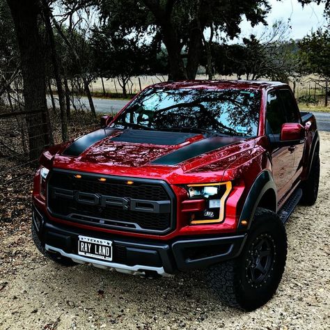 Truk Ford, Raptor Truck, Auto Jeep, Ford F150 Raptor, Ford Trucks F150, Ford Ranger Raptor, Ranger Truck, Ford Ranger Truck, Dream Cars Jeep