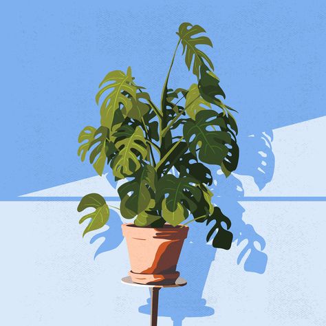 Pot Plant Plants In Pots Drawing, Digital Plant Art, Plant Pot Illustration, Potted Plant Drawing, Object Sketches, Plant Poster, Different Kinds Of Art, Pot Plant, Plant Painting