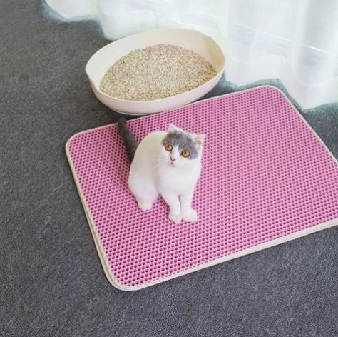 😍🐈Hey, are you looking for the perfect cat mat for your cats?  Cats of your cats will not fall to the ground anymore because this mat thanks to all colors and sizes 😍🐈 🔥Now 50% Discount + Free shipping worldwide 🎁 . . . . . . . . . . . . #pet #petdcf #followme #canada #instapet #instapets #instapetgram #petsgram #instacat #petvideo #lovepet #petlove #petlover #ilovepets #dogstagram #dogsofinstagram #dogsofinstaworld #doggies #puppylove #puppy #doggo #cutedogs #cute #followme #cat #catmat # Cat Litter Mat, Litter Mat, Small Animal Supplies, Bed Mats, Honeycomb Design, Cat Mat, Cat Paws, Cat Litter, Litter Box