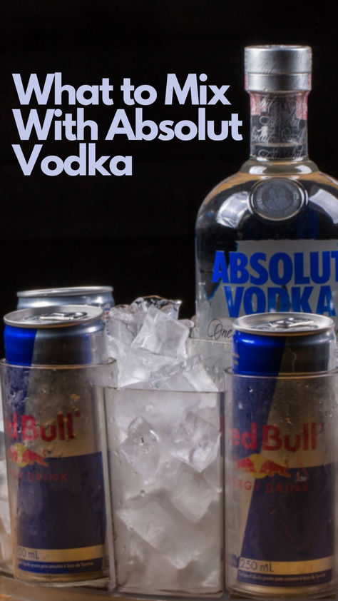 10 Popular Absolut Vodka Mixers Absolut Vodka Cocktails, Vodka Based Cocktails, Vodka Mixers, Classic Vodka Cocktails, Best Drinks, Vodka Martini, Refreshing Summer Drinks, Creative Cocktail, Absolut Vodka