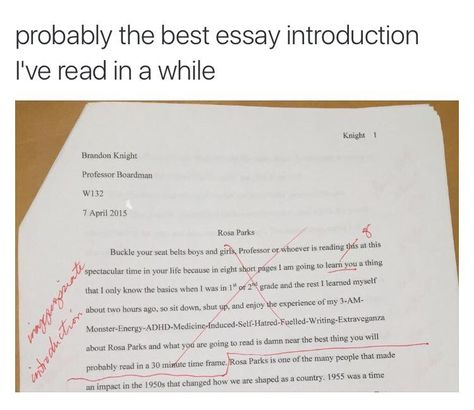 9gag Funny, Funny Af, Good Essay, School Memes, Laugh Out Loud, Memes Humor, Little Mix, Tumblr Funny, Funny Posts