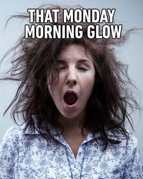 Monday Coffee Meme, Monday Morning Meme, Morning Meme, Funny Monday Memes, Funny Monday, Monday Coffee, Good Monday Morning, Morning Memes, Monday Memes