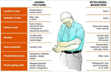 Angina vs Heart Attack Nursing Cheat, Angina Pectoris, Nursing Mnemonics, Surgical Nursing, Medical Surgical Nursing, Cardiac Nursing, Holistic Health Remedies, Nursing School Tips, Medical Anatomy