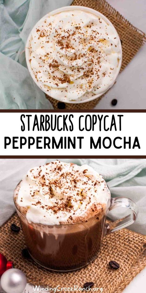 Looking for the perfect festive drink to make this season? Check out this Starbucks Peppermint Mocha recipe. It's easy to follow and will leave you with a delicious, wintery beverage that everyone will love! Starbucks Peppermint Mocha Recipe, Starbucks Drink At Home, Apple Cinnamon Oatmeal Muffins, Mocha At Home, Peppermint Mocha Recipe, Starbucks Peppermint Mocha, Cafe Vibes, Peppermint Syrup, Drink At Home