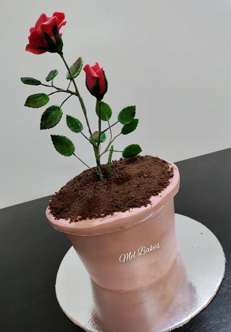 Rose flower pot cake. Whipped cream flower pot with modelling chocolate flowers and leaves. Pot Cake Design, Cake Whipped Cream, Flower Pot Cake, Pot Cake, 10 Mayo, Pot Cakes, Chocolate Cake Designs, Wafer Paper Flowers, Modelling Chocolate