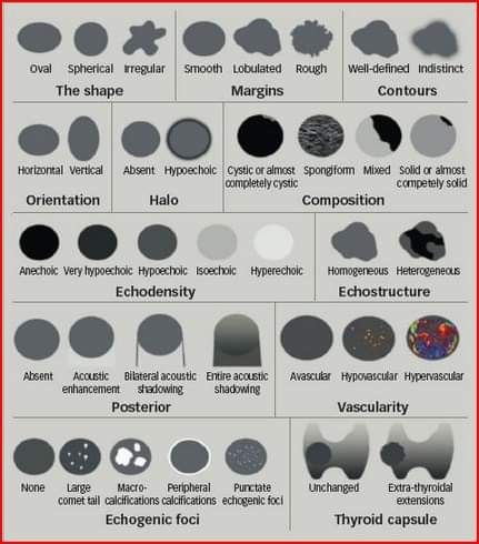 Ultrasound Terminology, Ultrasound Technician School, Diagnostic Medical Sonography Student, Thyroid Ultrasound, Ultrasound School, Ultrasound Physics, Cardiac Sonography, Nursing Study Tips, Sonography Student