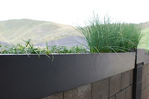 Why not top your freestanding wall with a DIY modern planter? Simple to make AND awesome to look at! Planters On Top Of Wall, Modern Outdoor Planters, Wall Planters Outdoor, Freestanding Wall, Modern Planters Outdoor, Big Planters, Door Planter, Fence Planters, Flower Rack