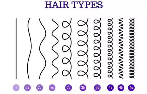 Afro Hair Types, 4b Hair Type, Hair Type Chart, Hair Chart, 3a Hair, Breaking Hair, Curly Hair Types, Hair Patterns, Types Of Hair