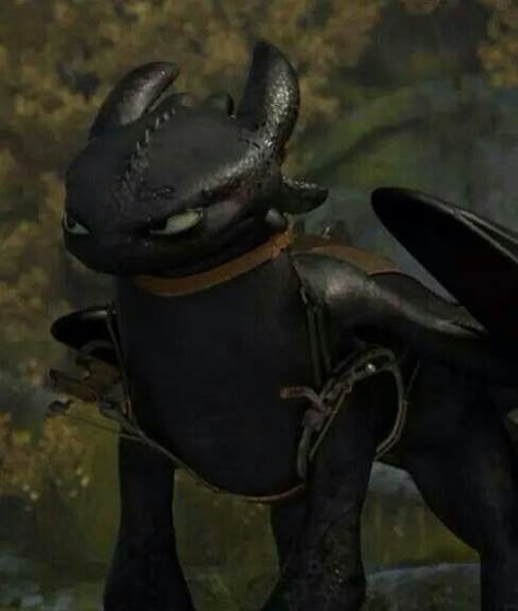 Toothless Profile Picture, How To Train Your Dragon Toothless, Angry Toothless, Toothless Pfp, Toothless Icon, Toothless Movie, Toothless Pictures, Httyd Icons, Toothless Wallpaper