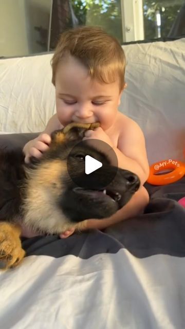 Cute Funny Puppy Videos, Happy Pug, Cute Animals Puppies, Animals Friendship, Cute Puppy Videos, Silly Dogs, Dogs And Kids