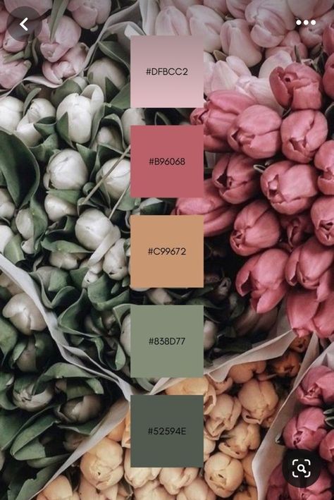 Pinterest https://hu.pinterest.com/pin/351912465218706/ Apartment Colour Palettes, Spring Decor Color Palette, Vintage Garden Color Palette, Mauve Pallet Color Schemes, Color Pallete Aesthetic Business, Vineyard Color Palette, Office Color Scheme Business, Boho Rainbow Color Palette, Enchanted Forest Color Palette