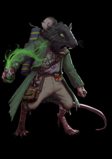 Pathfinder Character, Heroic Fantasy, A Rat, Dungeons And Dragons Characters, Fantasy Warrior, Dnd Characters, Fantasy Artwork, Character Portraits, Creature Art