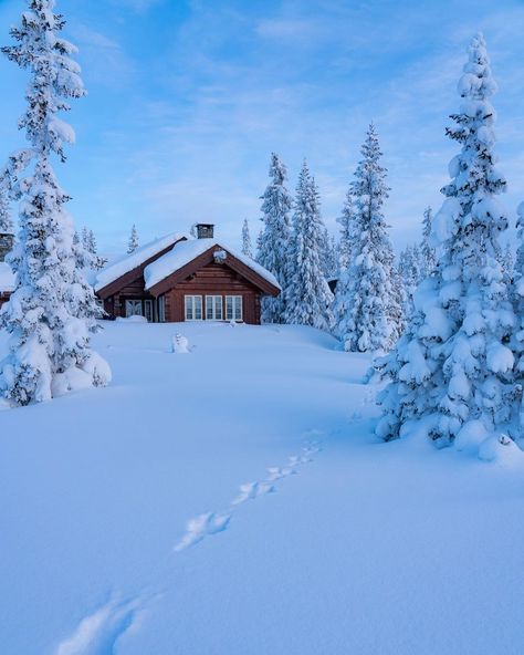 Winter in Norway 👌🏻 | Instagram Norway Cabin, Cozy Winter Cabin, Ecological House, Northern Lights Norway, Winter Cabin, Norway Travel, Cabin In The Woods, Winter Scenery, Winter Pictures