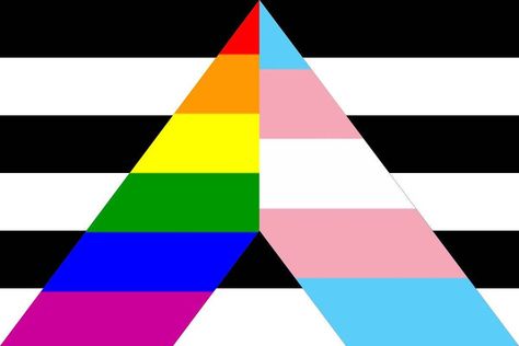 Ally Flag, Straight Flag, Trans Ally, Straight Ally Flag, Lgbtq Ally, Straight Ally, Hello August, Trans Flag, Lgbtq Flags