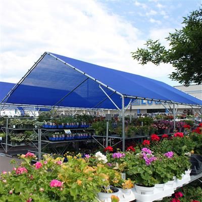 Plant Backyard, Grape Garden, Garden Center Displays, Shed Construction, Shade House, Backyard Shade, Garden Tool Shed, Home Greenhouse, Greenhouse Kit