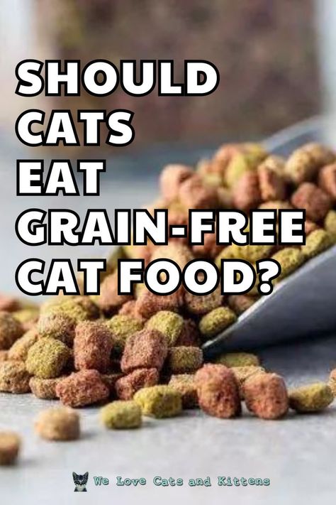 Grain isn’t necessary for cats, but it’s not necessarily harmful either, unless your cat has an existing issue which prevents them from eating grain. Read the article for more info and the best grain-free cat food picks available on the market! Grain Free Cat Food, Grain Free Diet, Kitten Food, Digestive Issues, Food Picks, Grain Foods, Dry Cat Food, Special Diets, Free Cat