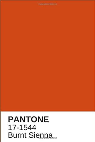 Orange Pantone Color, Orange Pantone, Orange Color Shades, Orange Paint Colors, Pantone Red, Pantone Palette, Orange Color Palettes, Dinner Party Summer, Color Palette Challenge