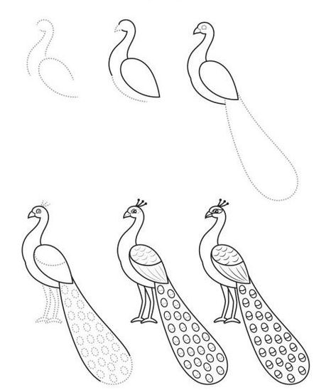 Peacock Drawing Easy Step By Step, Peacock Line Art, Cute Peacock Drawing, Peacock Painting Easy, Peacock Drawing Simple, Kids Drawing Ideas, Beginner Drawing Lessons, Peacock Drawing, Easy Animal Drawings