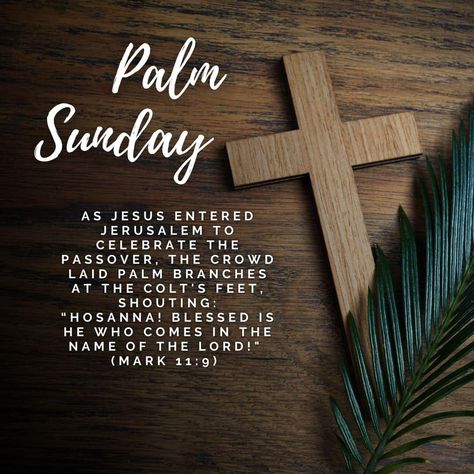 Wishing you all a blessed, God-Filled and Happy Palm Sunday! Happy Palm Sunday, Palm Branch, Kingdom Come, Palm Sunday, John 3:16, John 3, Passover, The Crown, Gods Love