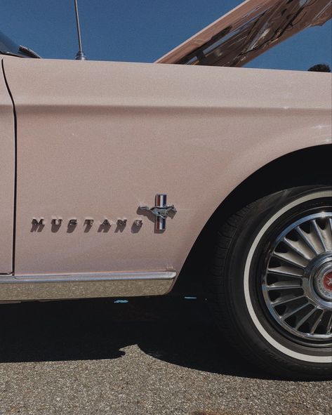 vintage pink mustang aesthetic Mustang Vintage Aesthetic, Mustang Asthetic Picture, Old Mustang Aesthetic, Vintage Mustang Aesthetic, White Mustang Aesthetic, Mustang Aesthetic, Pink Vintage Car, Pink Mustang, Macbook Backgrounds