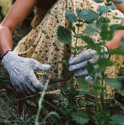 Academia Green Aesthetic, Fall Aesthetic Brown, Academia Green, Aesthetic Earth, Green Academia, Moodboard Inspo, Earthy Aesthetic, Earth Colors, Aesthetic 90s