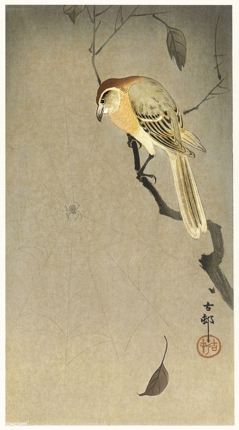 Buffalo wing shrike and spider (1900 - 1930) by Ohara Koson (1877-1945). Original from the Rijks Museum. Digitally enhanced by rawpixel. | free image by rawpixel.com Buffalo Wing, About Japan, Art Chinois, Ohara Koson, Art Japonais, Japanese Prints, Woodblock Print, White Rabbit, Nature Wall Art